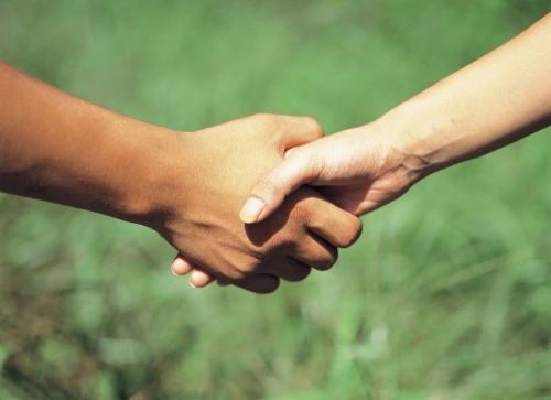 b263574(2).jpg?type=w1