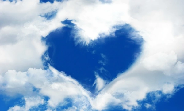 SE-95176091-ad2e-4a52-ad14-45a18d83034d.jpg?type=w1