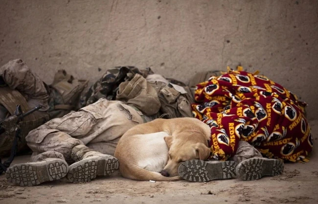 %ED%81%AC%EA%B8%B0%EB%B3%80%ED%99%98%EC%A0%84%EC%9F%818.JPG?type=w1