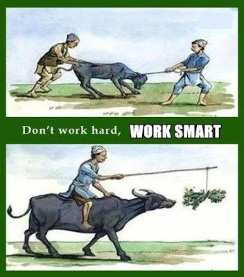 main-qimg-af7312458e0589fd1772cd8b6c73ddd0-lq