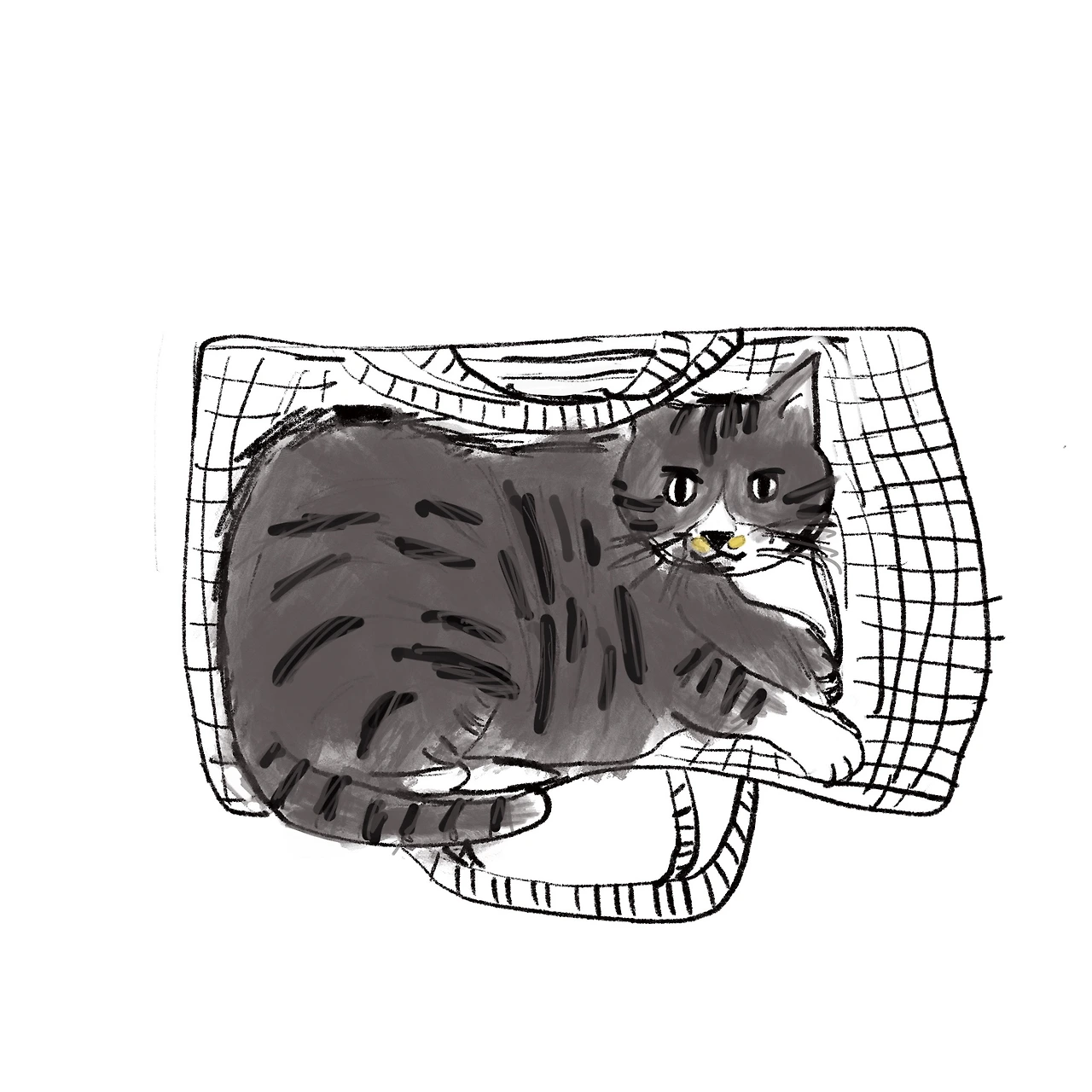 제목_없는_아트워크 4.JPG