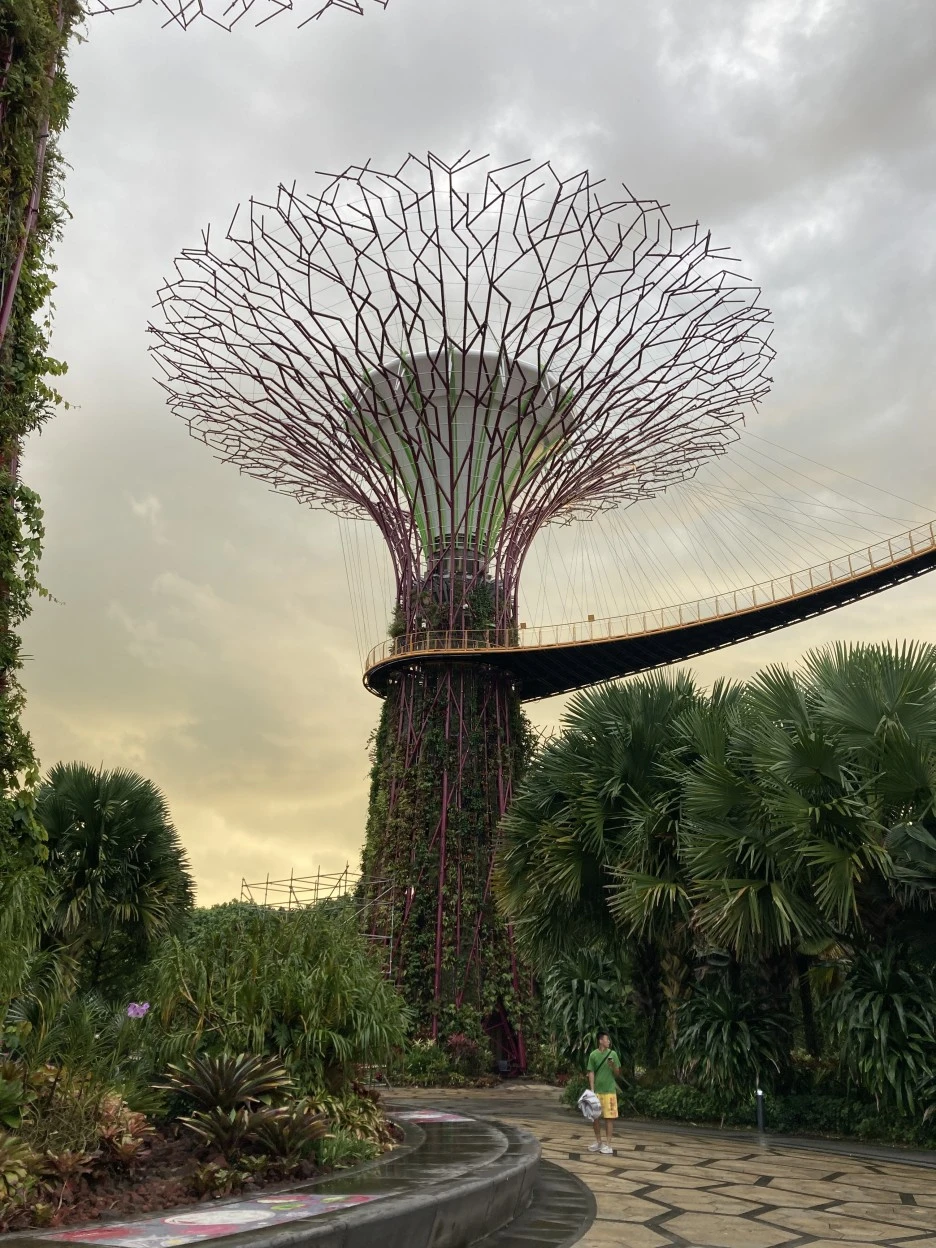 IMG_2647.JPG?type=w1