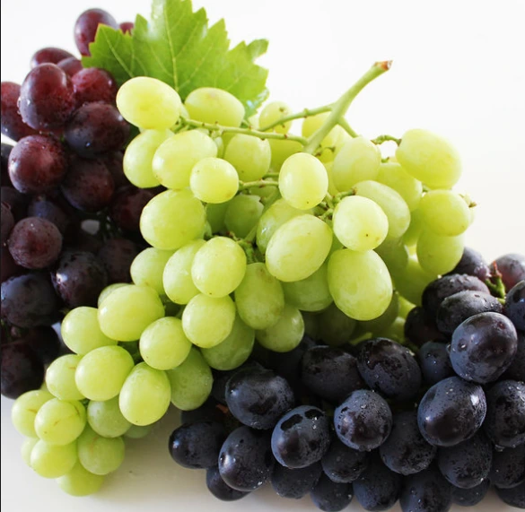 포도_출처 지마켓.PNG