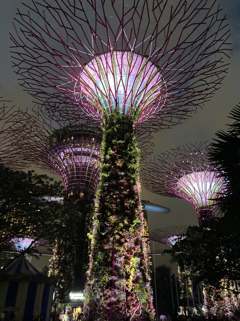 IMG_2655.JPG?type=w1