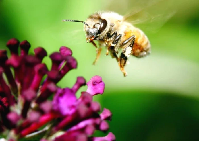 TO8cDbqo5JonHEUXB11cVJlJv6g