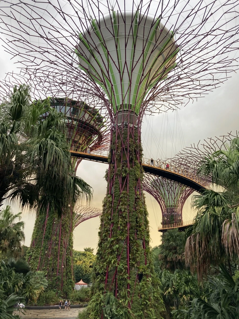 IMG_2646.JPG?type=w1