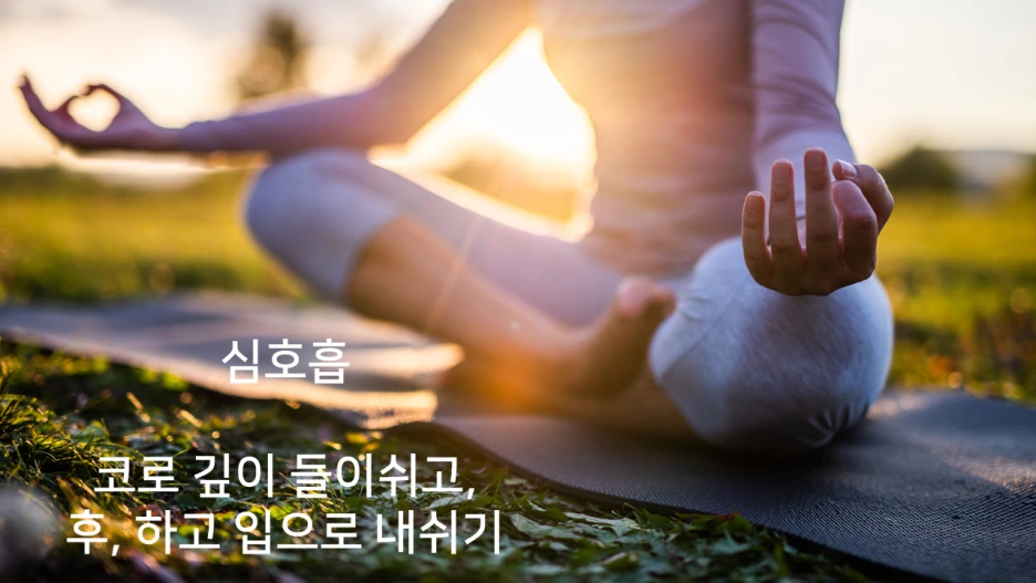 %EC%8A%AC%EB%9D%BC%EC%9D%B4%EB%93%9C67.PNG?type=w1