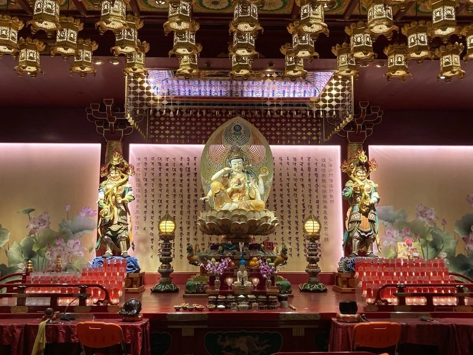 KGZK4336.JPG?type=w1