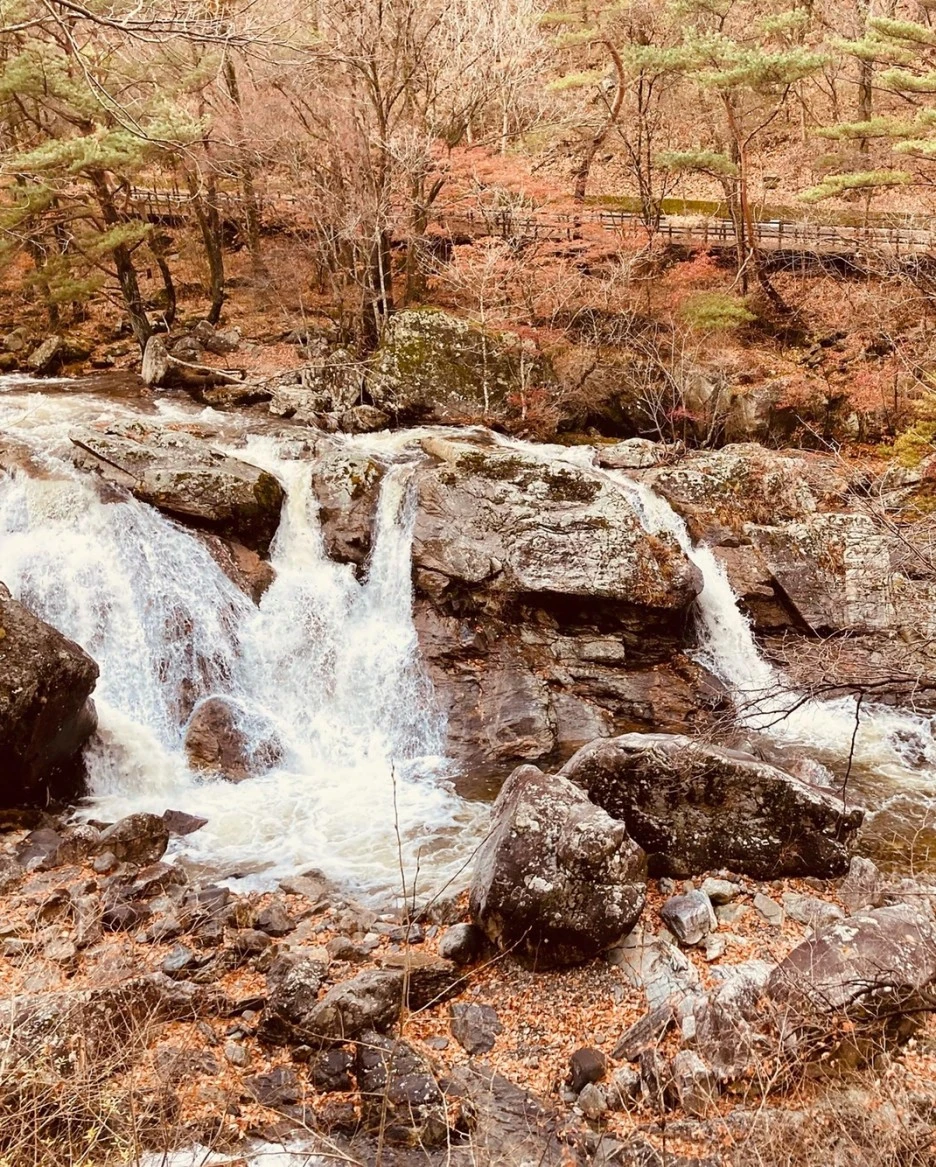 KakaoTalk_20221114_144129094.jpg?type=w1