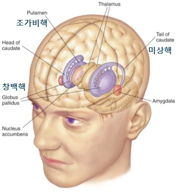 7ae9289aecaa6fe82306f2f85b544179.jpg?type=w800