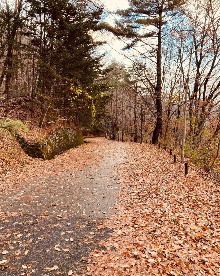 KakaoTalk_20221114_144129094_02.jpg?type=w1