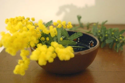 %EB%8B%AC%ED%8C%BD%EC%9D%B4_%EC%8B%9D%EB%8B%B98.jpg?type=w773