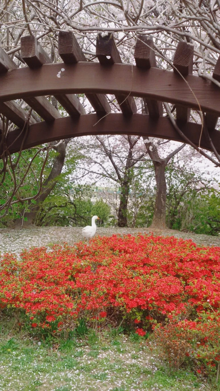 image_6050644341491921825377.jpg?type=w773