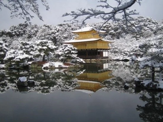 2016-07-04_09%3B08%3B09.jpg?type=w773