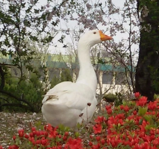 image_2879515321491922005482.jpg?type=w773