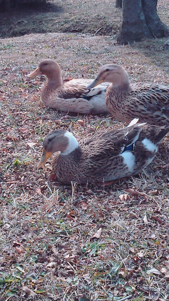 image_7764763511491922445229.jpg?type=w773