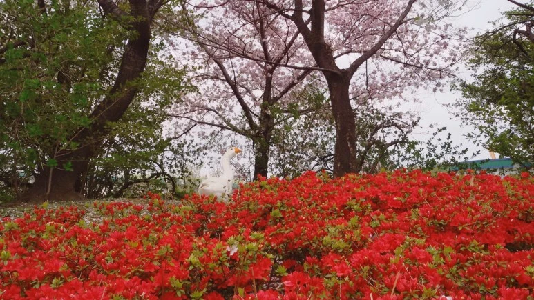 image_875316161491921825377.jpg?type=w773