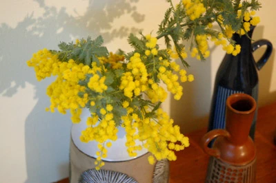 %EB%8B%AC%ED%8C%BD%EC%9D%B4_%EC%8B%9D%EB%8B%B95.jpg?type=w773