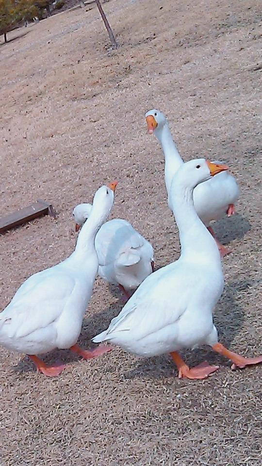 image_147967571491922571868.jpg?type=w773