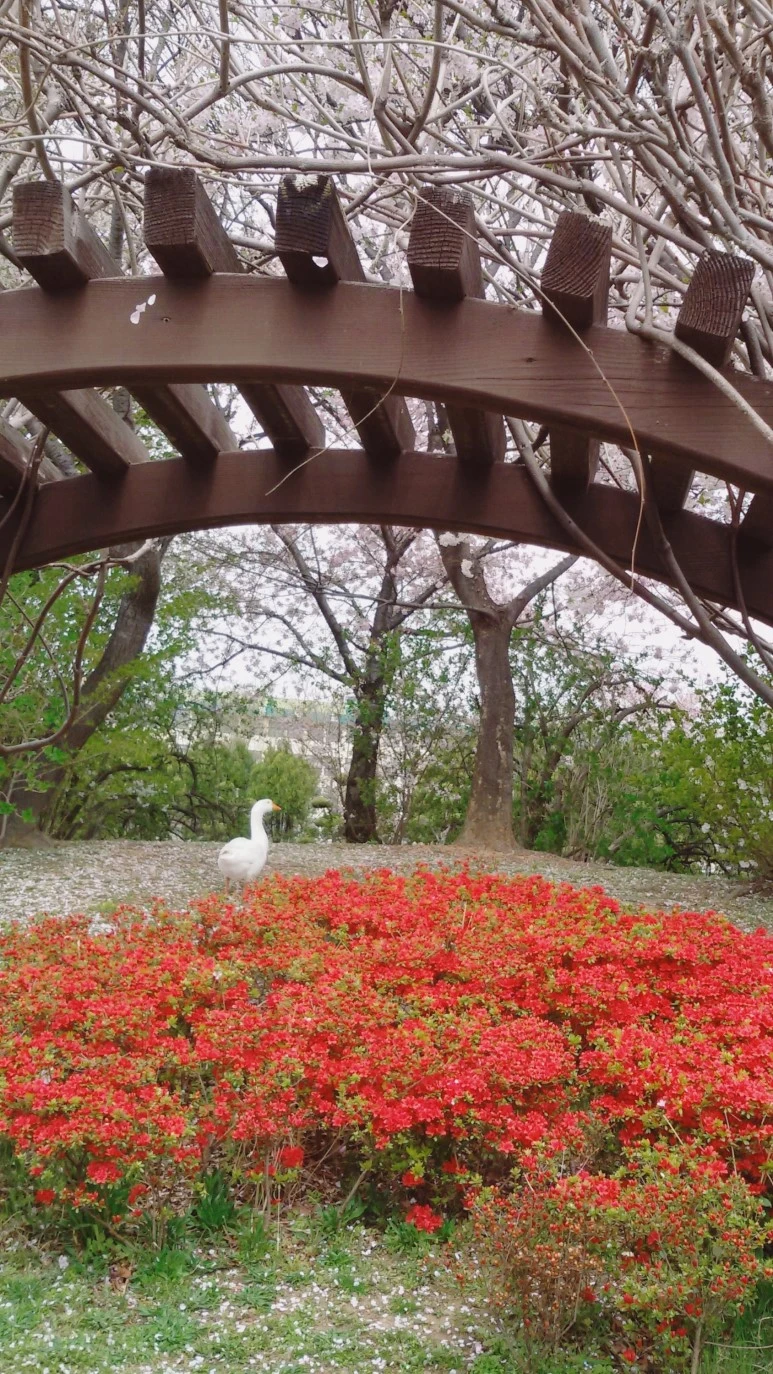 image_5495356801491921936620.jpg?type=w773