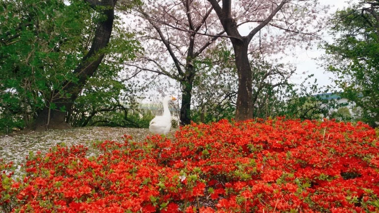 image_829634451491922047110.jpg?type=w773