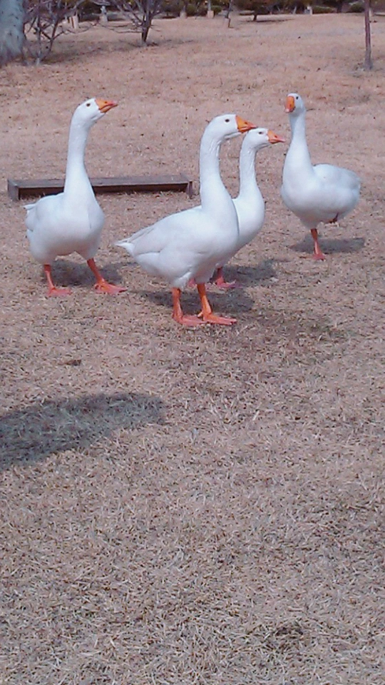 image_3158399451491922583264.jpg?type=w773