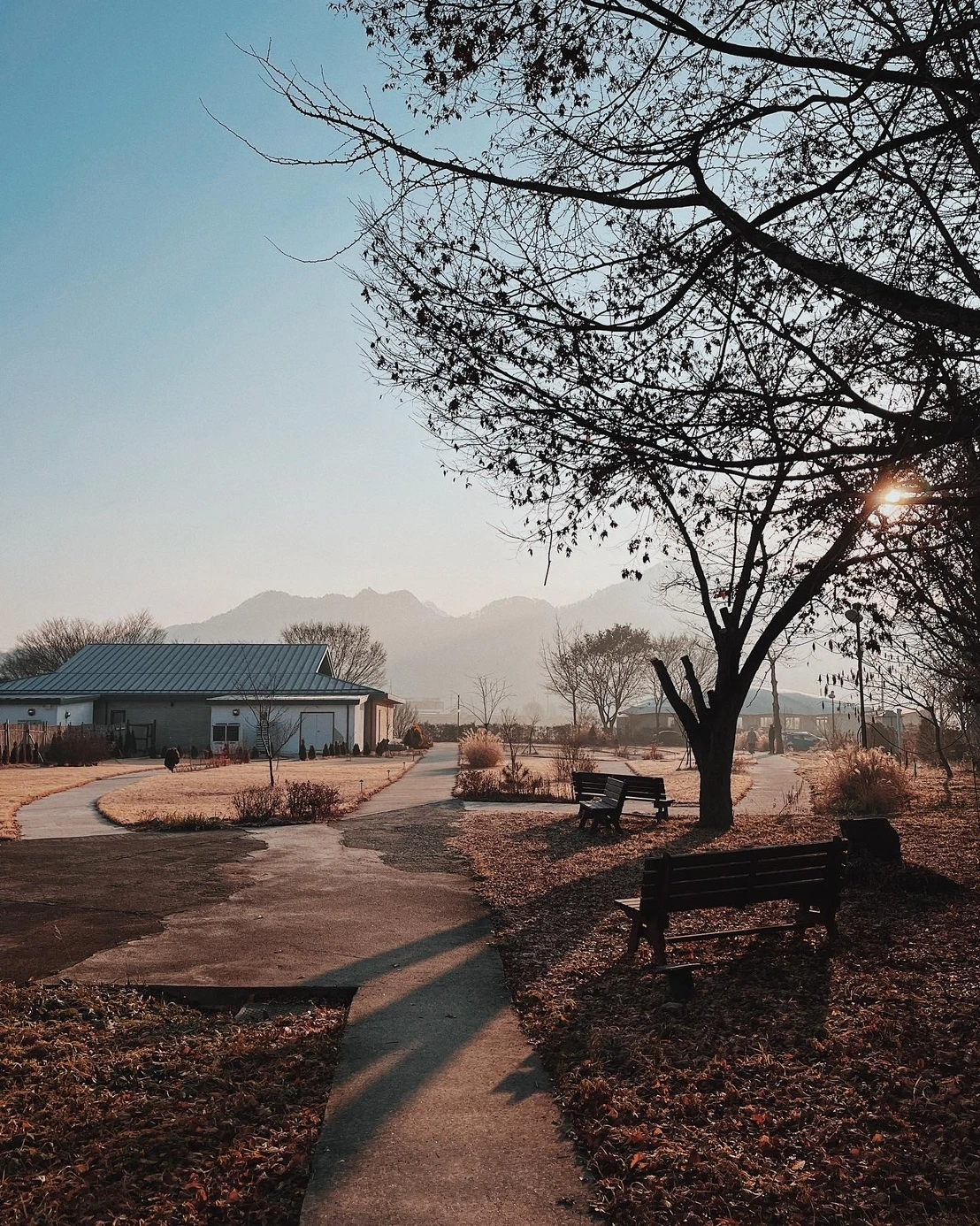 KakaoTalk_Photo_2023-03-01-21-47-22 003.jpeg