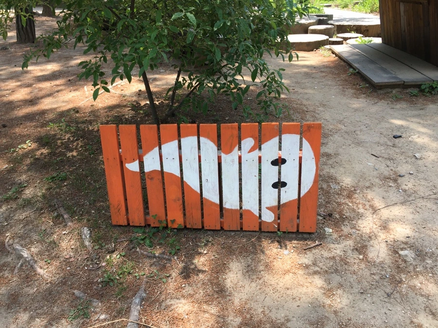 IMG_7831.JPG?type=w1