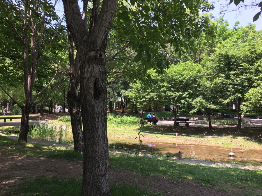 IMG_7799.JPG?type=w1