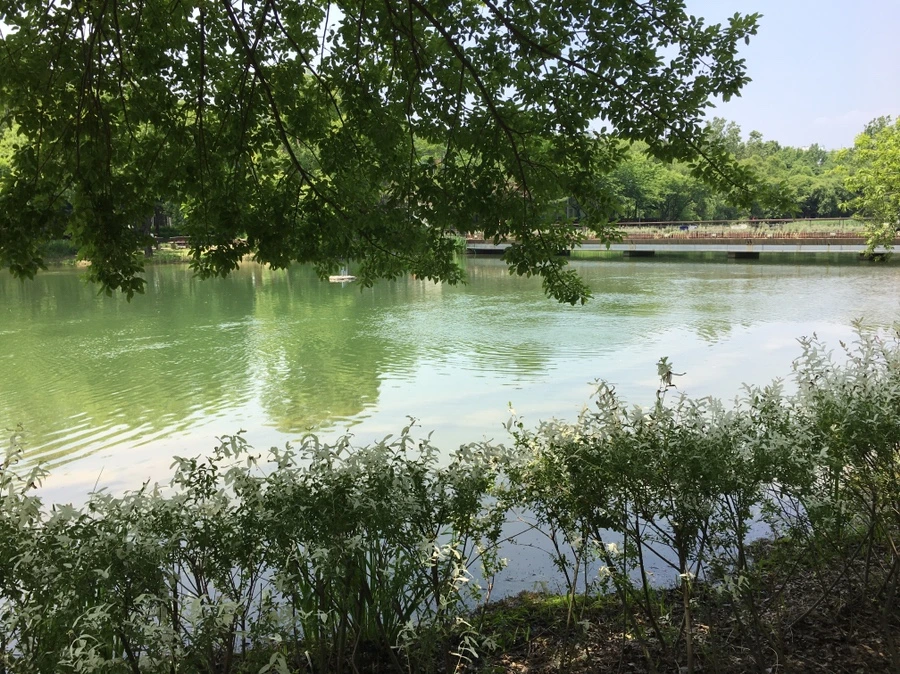 IMG_7852.JPG?type=w1