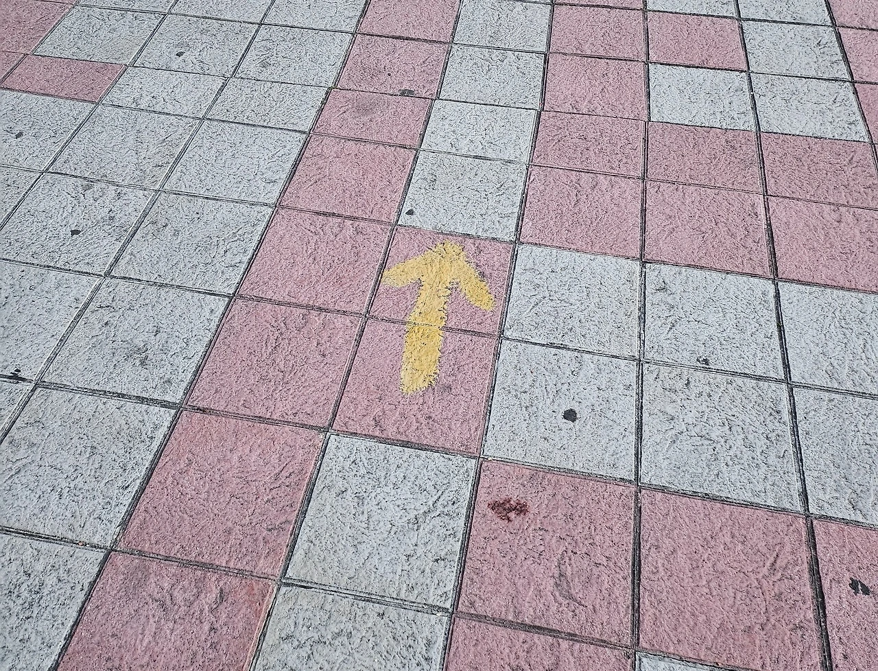 다운로드 (2).jpeg