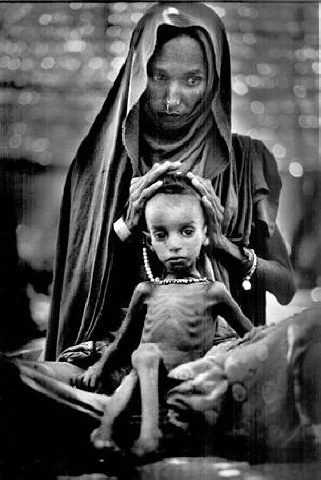 Evernote_Camera_Roll_20140703_001922.jpg?type=w3