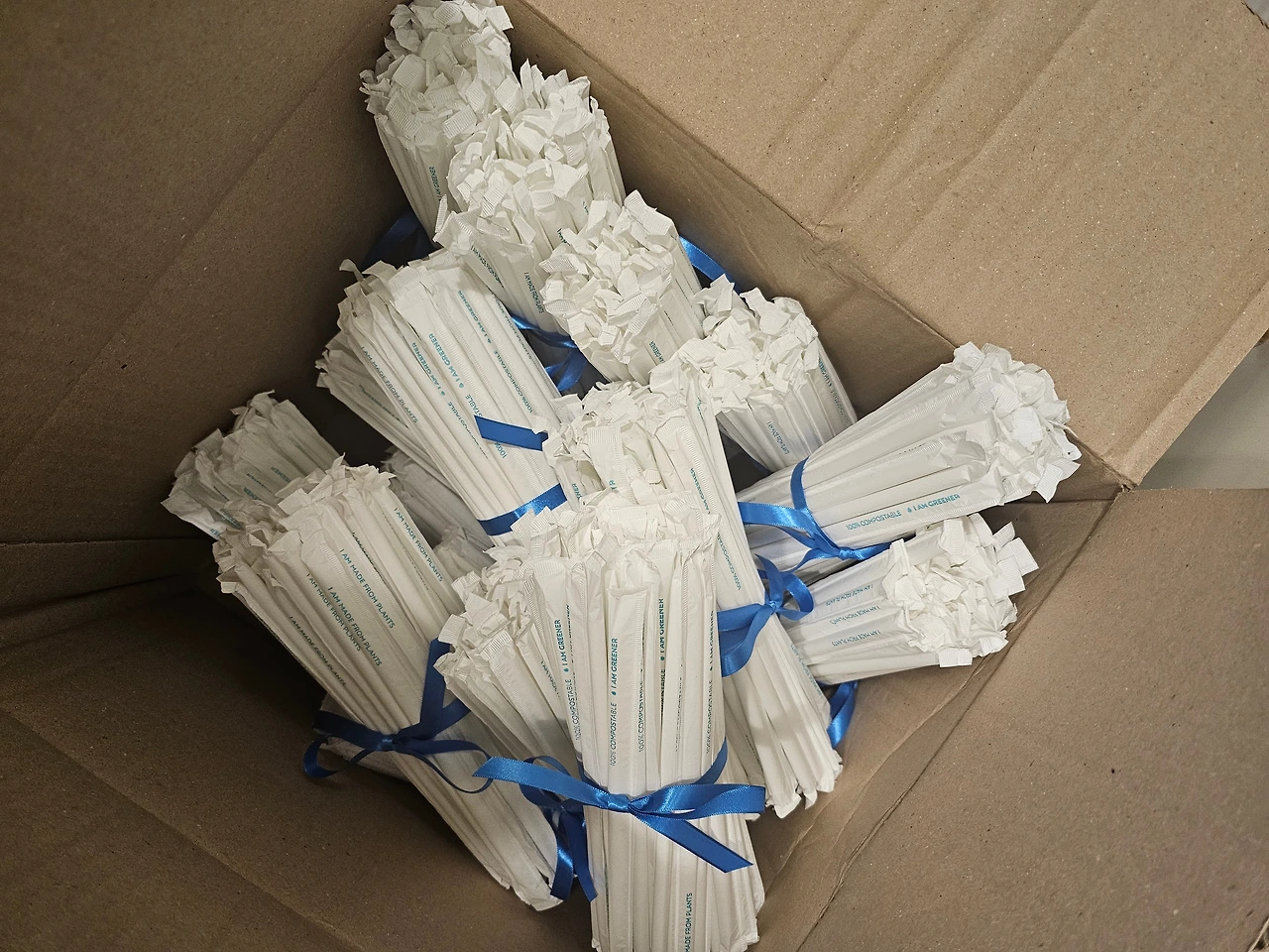 KakaoTalk_Photo_2024-12-17-23-38-32 001.jpeg