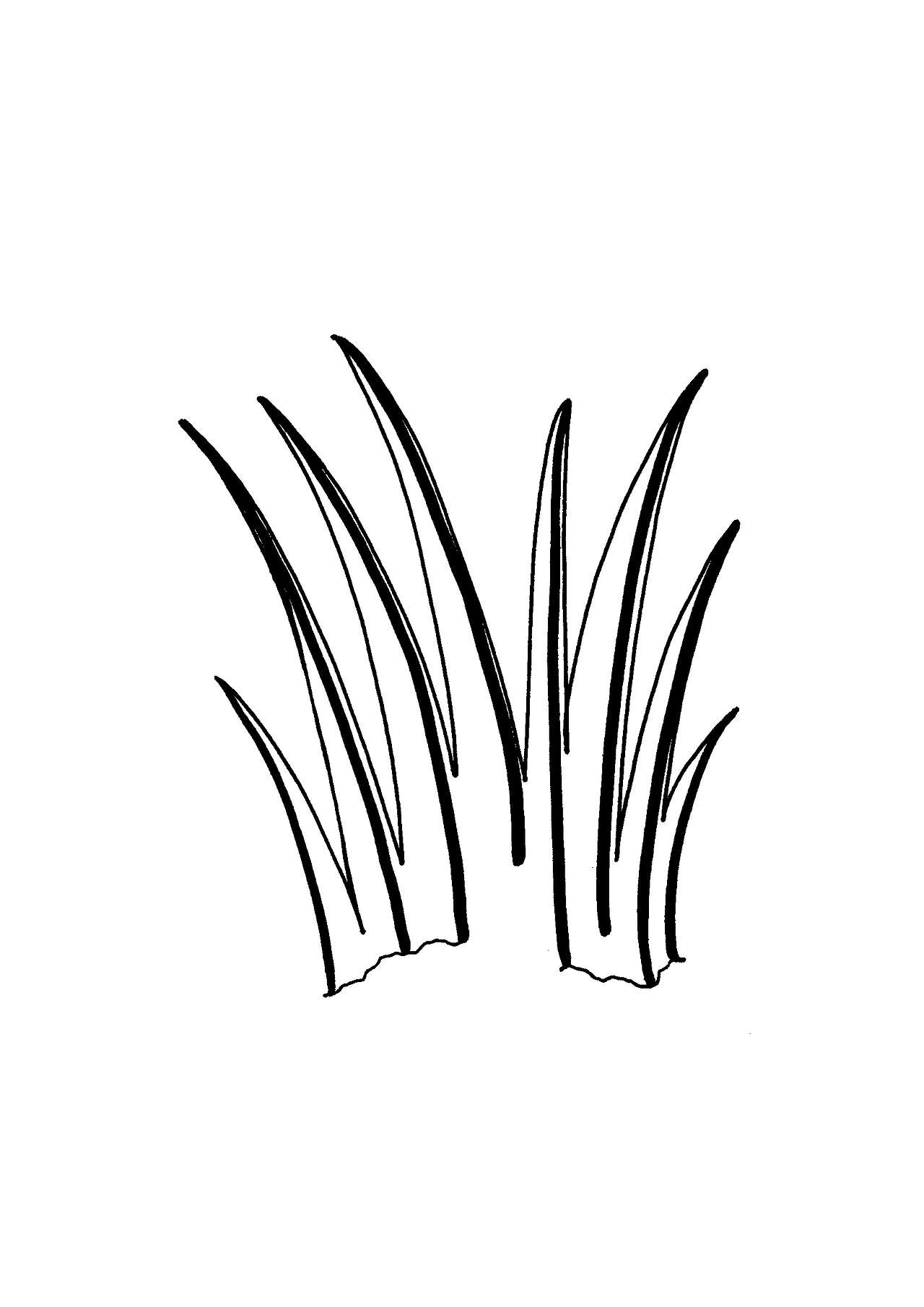 쉐프의 드로잉 4-3.jpg