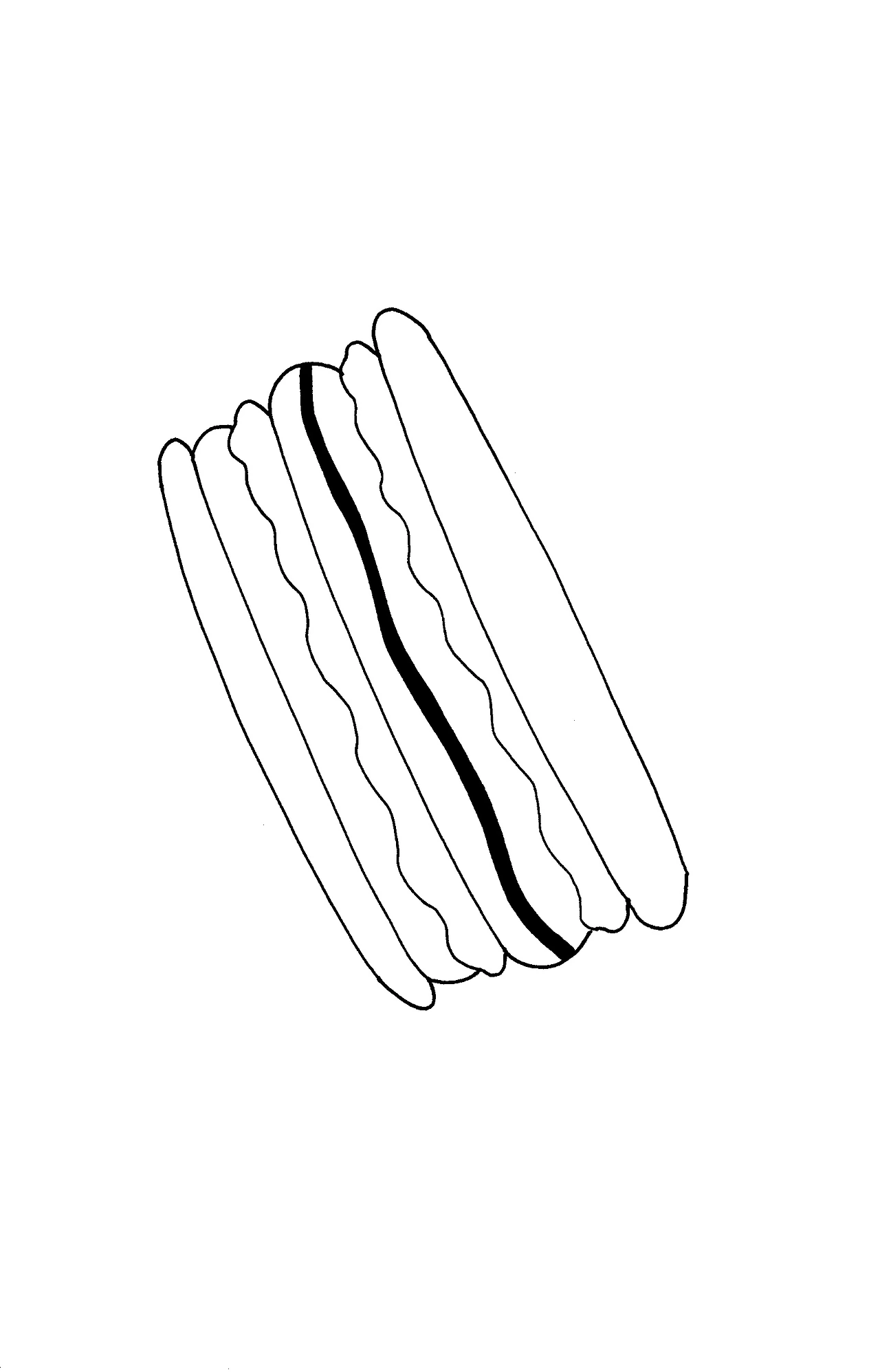 쉐프의 드로잉 4-5.jpg