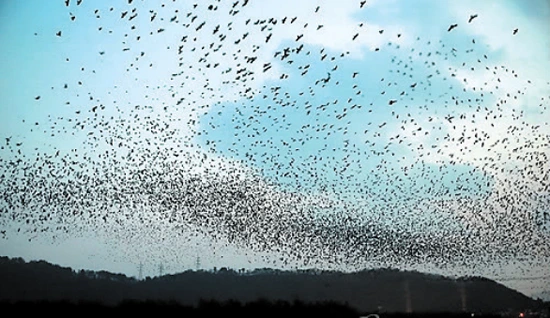 PvjreU5wMtSq_Q84ywtmyVYLYK1OZrwJkI7GX_4VTxq_zbnSRjbU-PmhEqV8FjG8dEylM_3tGPTX6JWmKimUwq_QZZp179MCzvtKSwoo8PujQX4rFA_02ysT4wPfNBxdEOGKfQLG