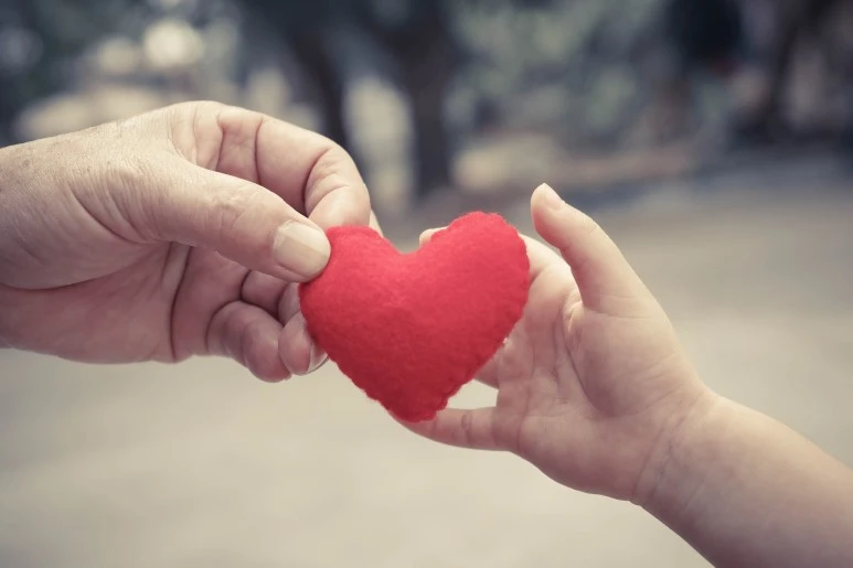 GettyImages-531606044.jpg?type=w773