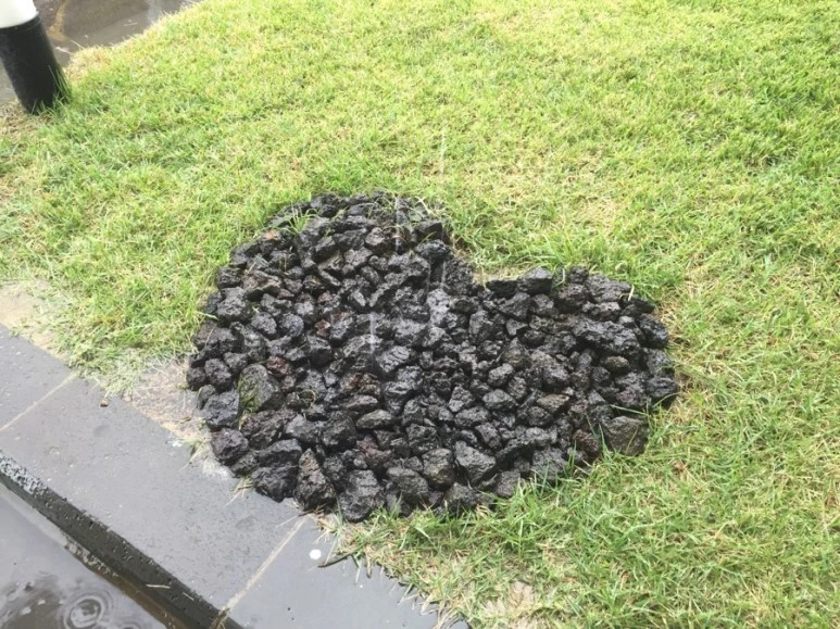 IMG_5276.JPG?type=w773