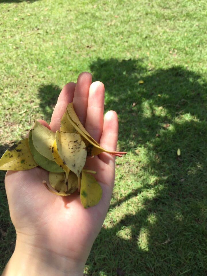 attachImage_3116370022.jpeg?type=w773