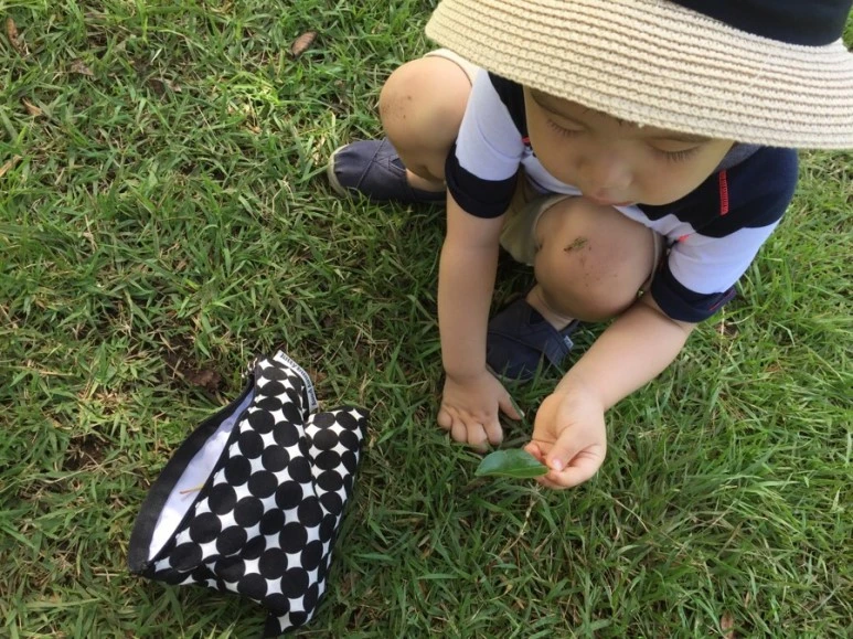 attachImage_3594105541.jpeg?type=w773