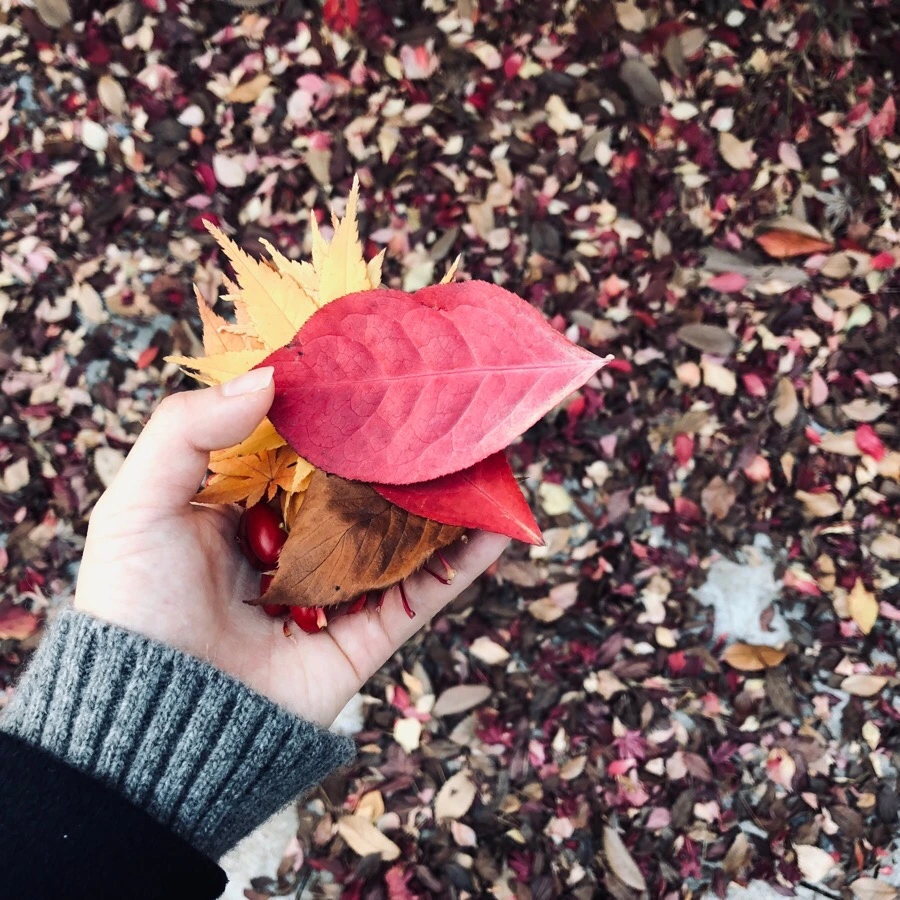 IMG_8396.jpg?type=w966