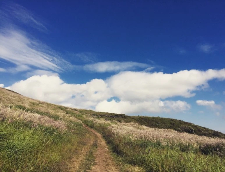 IMG_5484.JPG?type=w773