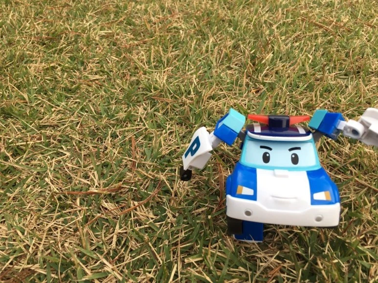 KakaoTalk_20161101_011022516.jpg?type=w773