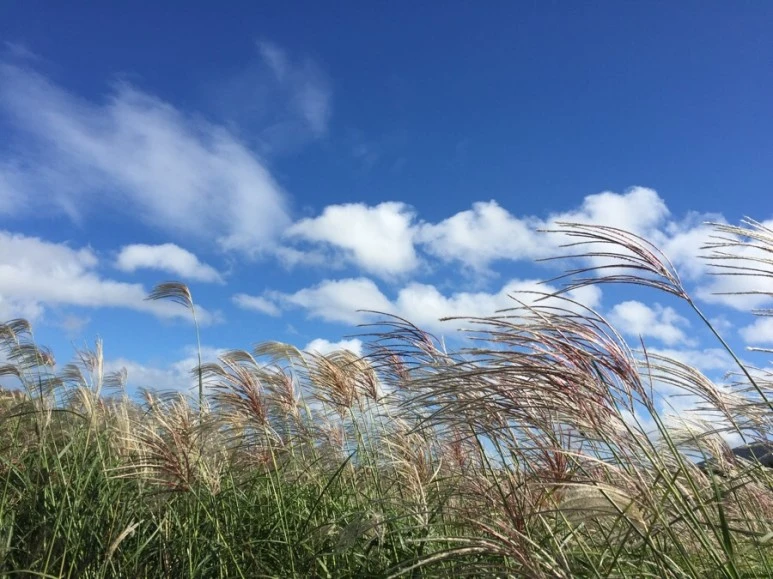 IMG_5482.JPG?type=w773