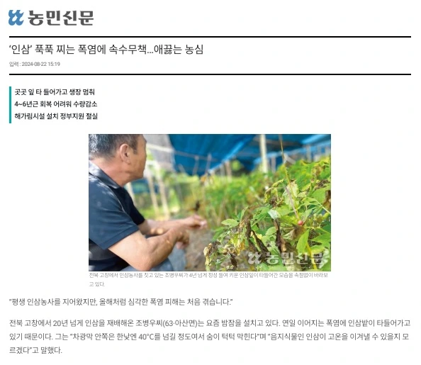 456737565_8777885438906760_3513071522282280048_n.jpg?_nc_cat=105&ccb=1-7&_nc_sid=127cfc&_nc_ohc=b9T-BIG4S0sQ7kNvgFxHCJ5&_nc_ht=scontent-ssn1-1.xx&oh=00_AYD2FGUuy6CROO44zu84--0eYuEkdb4bDr_B8g7hHBgnpQ&oe=66D225E6