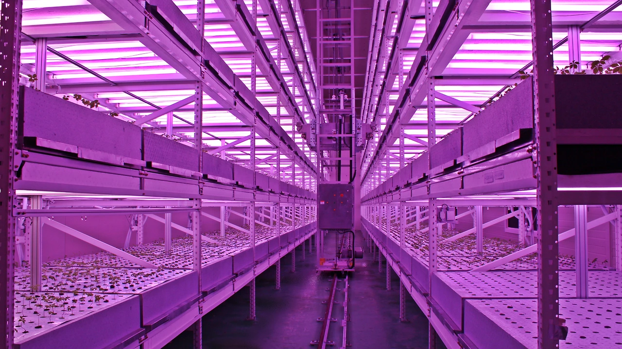 재배동 내부.JPG