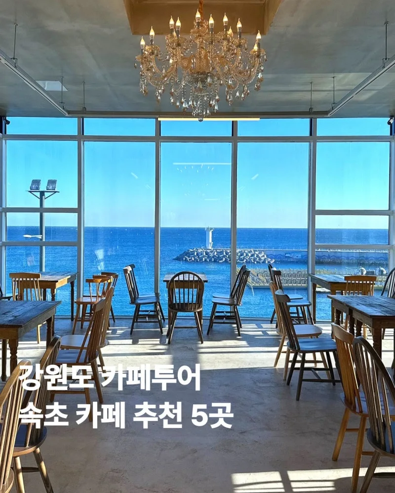 %EC%86%8D%EC%B4%88_%EC%B9%B4%ED%8E%981.jpg?type=w800&utm_source=chatgpt.com