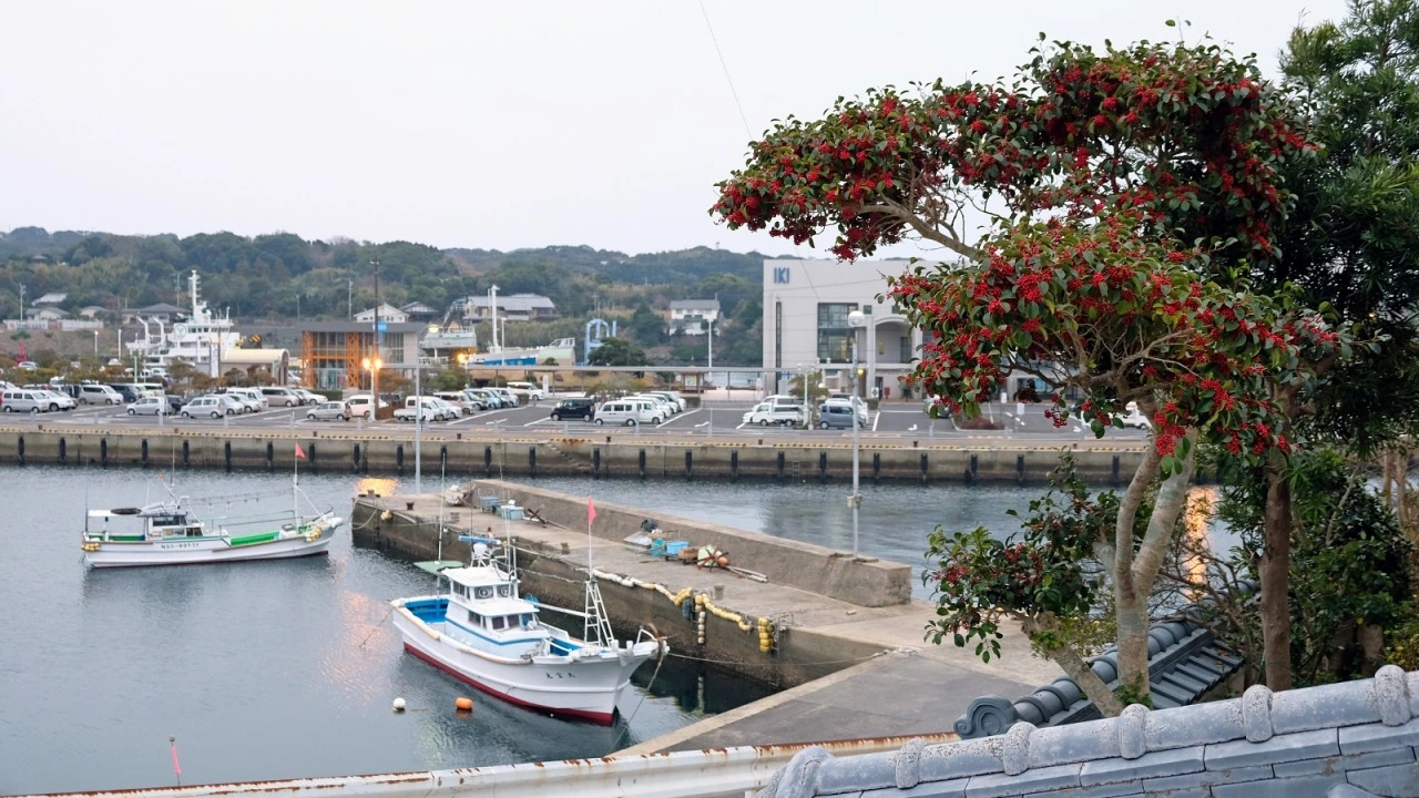 dde9f6a3-1680-4934-af2e-cf89625091f2.jpg?utm_source=chatgpt.com