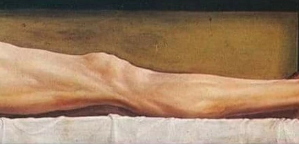 SE-c3b7ee56-f6e1-4b8a-b3c0-c303e5b255c0.jpg?type=w466