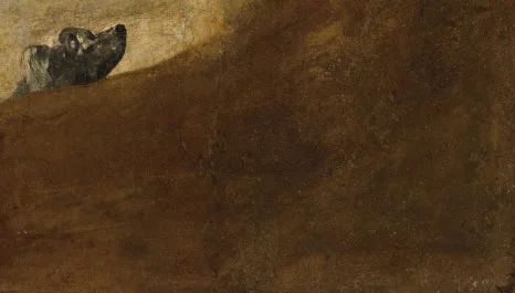 SE-c3a3b15e-c650-4959-9229-1759a1f294ad.jpg?type=w466